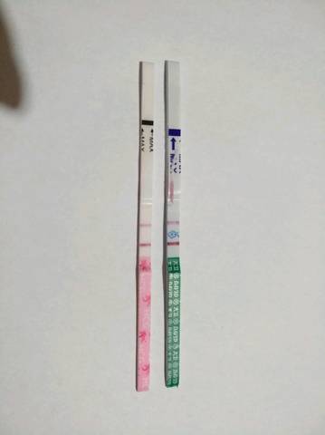 journal_insert_pic_973630627