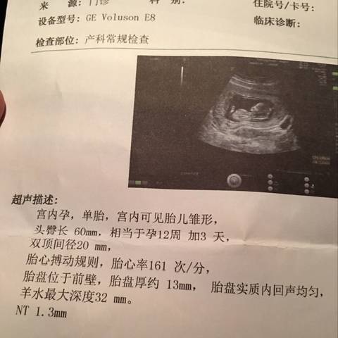 journal_insert_pic_973973361