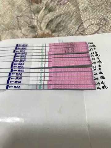 journal_insert_pic_974065456