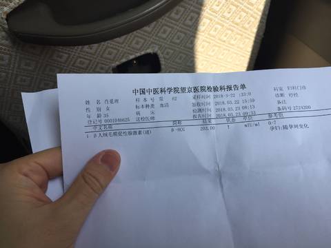 journal_insert_pic_973743132