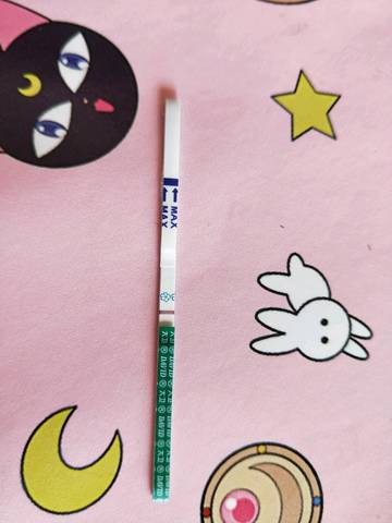 journal_insert_pic_975351890