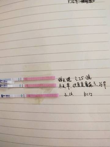 journal_insert_pic_975320220