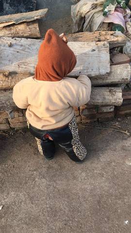 journal_insert_pic_976751613