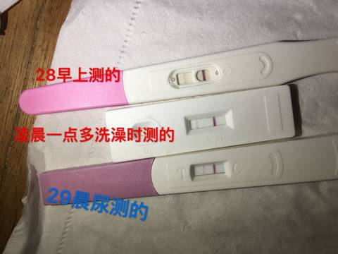 journal_insert_pic_977510038