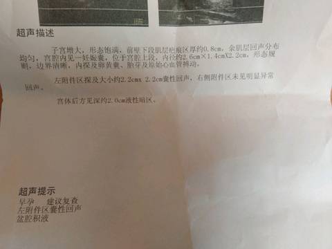 journal_insert_pic_978312090