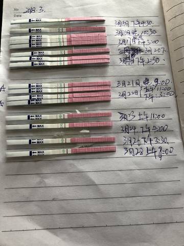 journal_insert_pic_979088368
