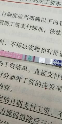 journal_insert_pic_979084773