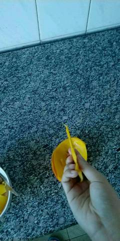 journal_insert_pic_980505830