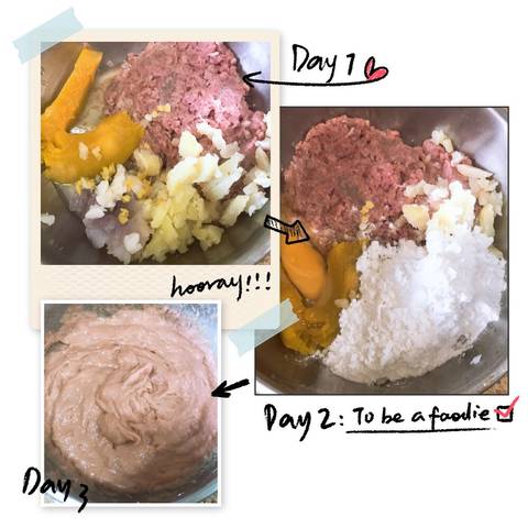 journal_insert_pic_981777793