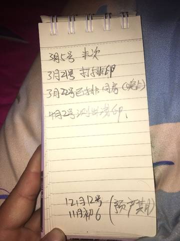 journal_insert_pic_982543426