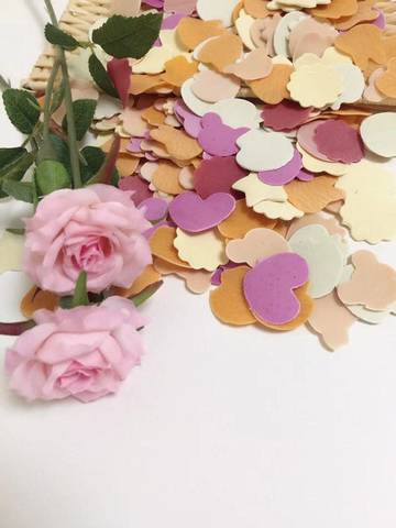journal_insert_pic_982396750
