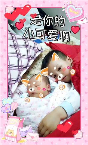 journal_insert_pic_983225448