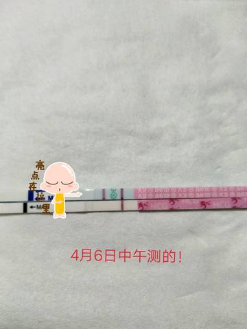 journal_insert_pic_983673652