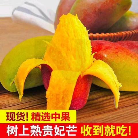 journal_insert_pic_984706769