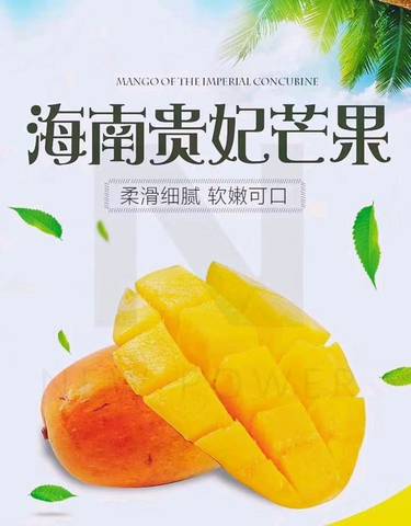 journal_insert_pic_984705790