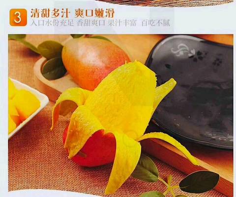 journal_insert_pic_984706250