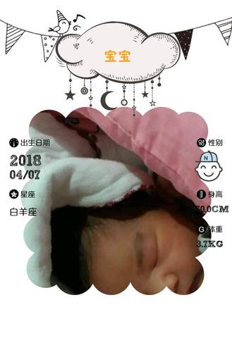 journal_insert_pic_985120167