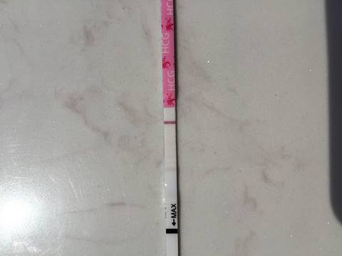 journal_insert_pic_985145247