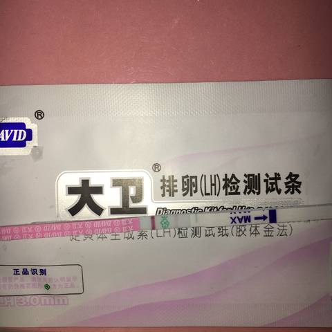 journal_insert_pic_986168210