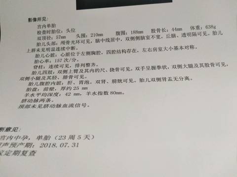 journal_insert_pic_985803657