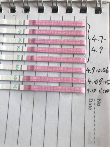journal_insert_pic_986622272