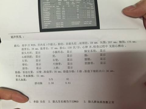 journal_insert_pic_987698975