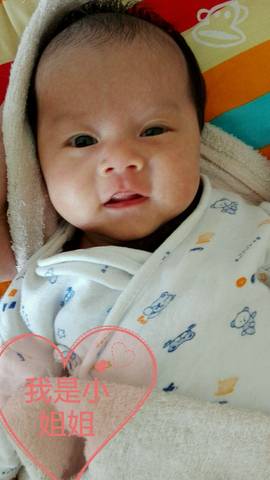 journal_insert_pic_987562696