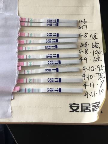 journal_insert_pic_987539288
