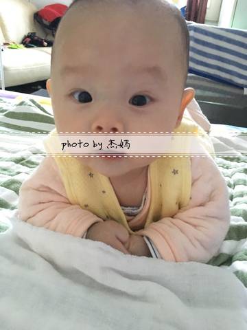 journal_insert_pic_988006372