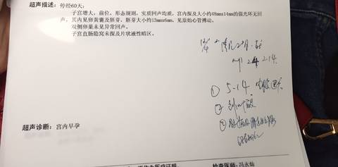 journal_insert_pic_988080003