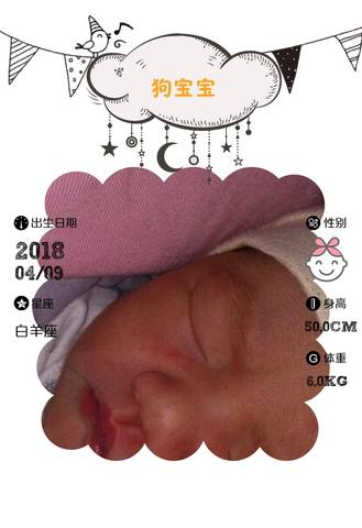 journal_insert_pic_988944339
