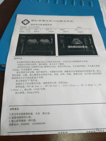 journal_insert_pic_989526271