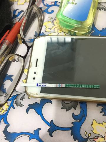 journal_insert_pic_989410645