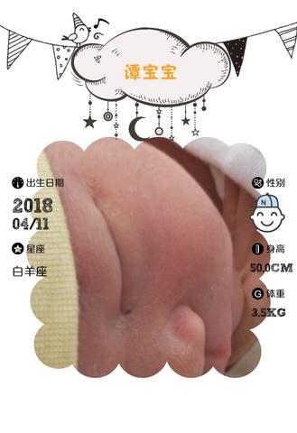 journal_insert_pic_989352468