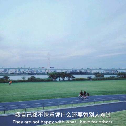journal_insert_pic_989882110