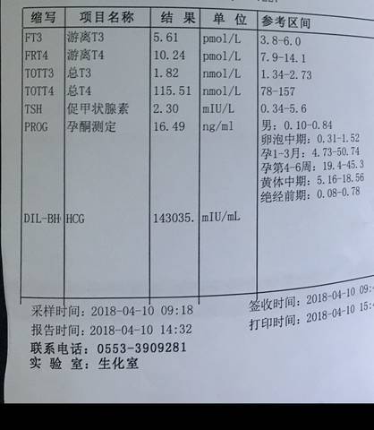 journal_insert_pic_990134626