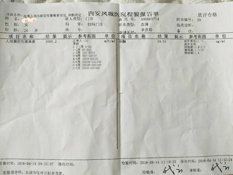 journal_insert_pic_990349138