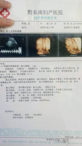 journal_insert_pic_991061432
