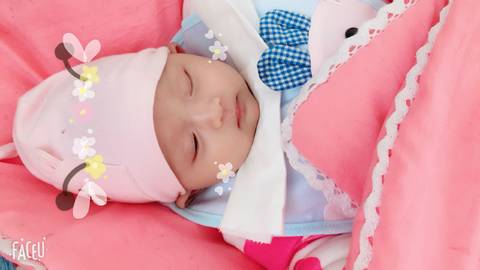 journal_insert_pic_991320308