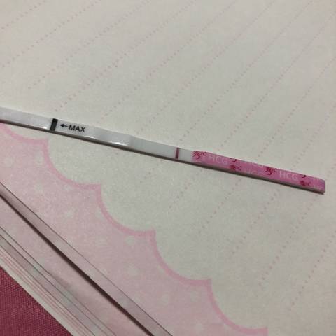 journal_insert_pic_992153727
