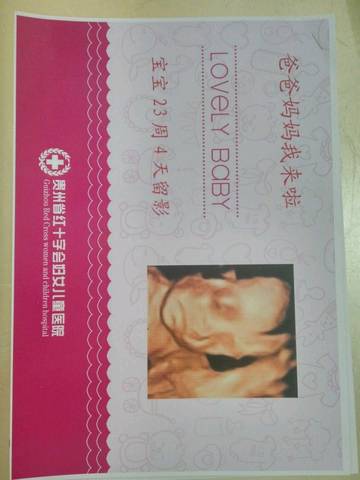 journal_insert_pic_991755560