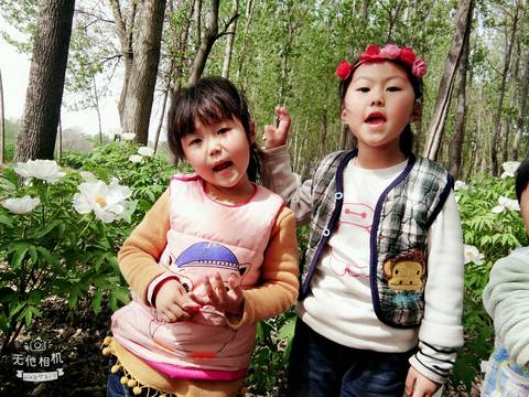 journal_insert_pic_991599586