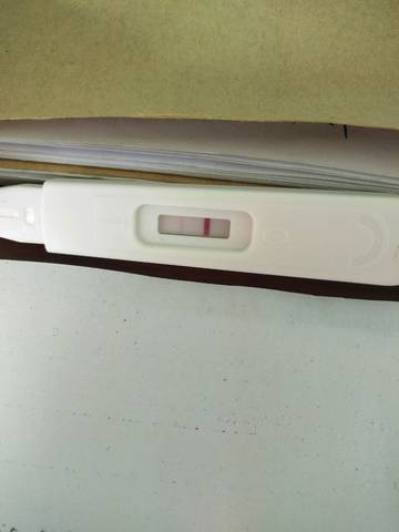journal_insert_pic_991692340