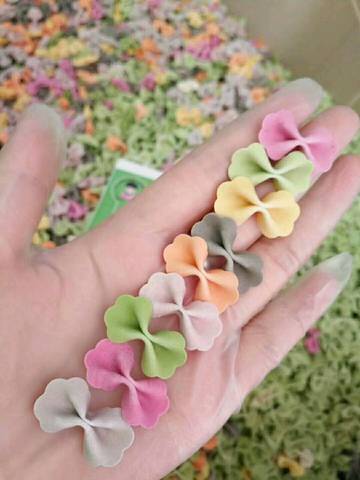 journal_insert_pic_992554351