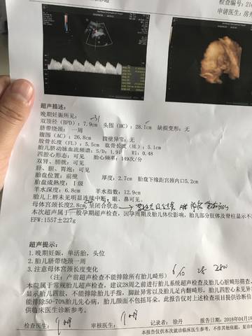 journal_insert_pic_992553253