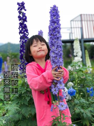 journal_insert_pic_994573424
