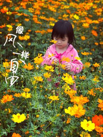 journal_insert_pic_994573465