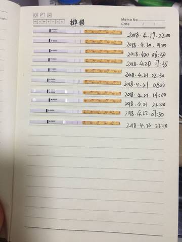 journal_insert_pic_995660234
