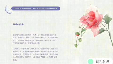 journal_insert_pic_995848898
