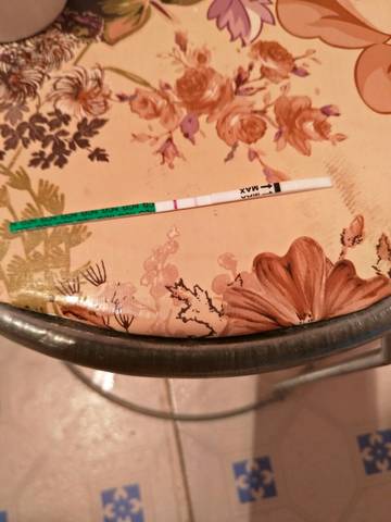 journal_insert_pic_996566673